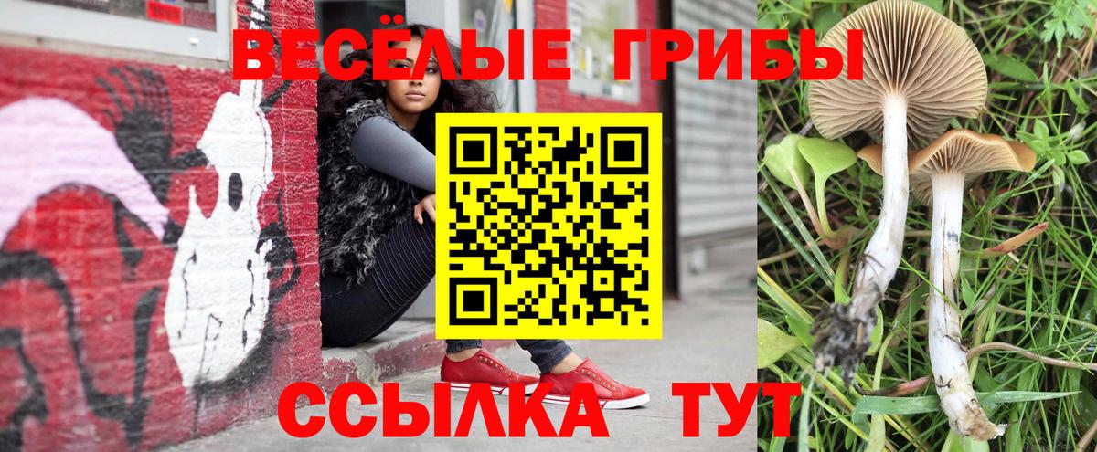 Галлюциногенные грибы Magic Shrooms  Вход с VPN  Когалым 